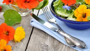 sanremo gara cucina fiori