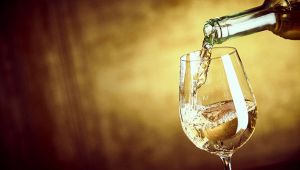 sauvignon-800