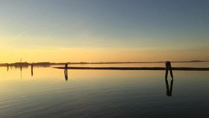 Isola di Sant'Erasmo