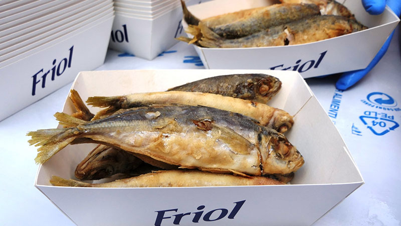 Sagra del pesce Camogli