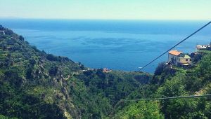Zip Line