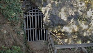 grotta-guattari