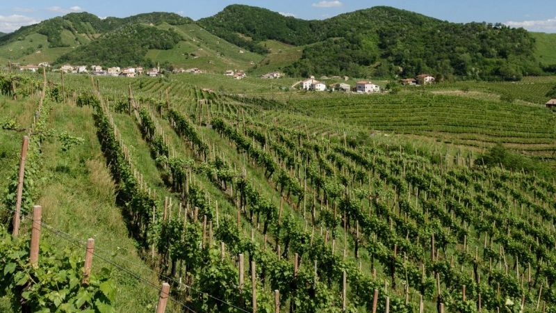 Valdobbiadene