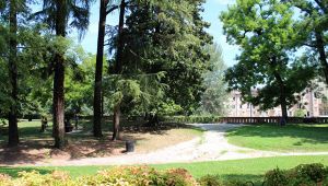 Padova diventerà un bosco urbano: in arrivo 20mila alberi in città