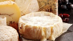 Italian Cheese Awards 2019: i migliori formaggi d'Italia