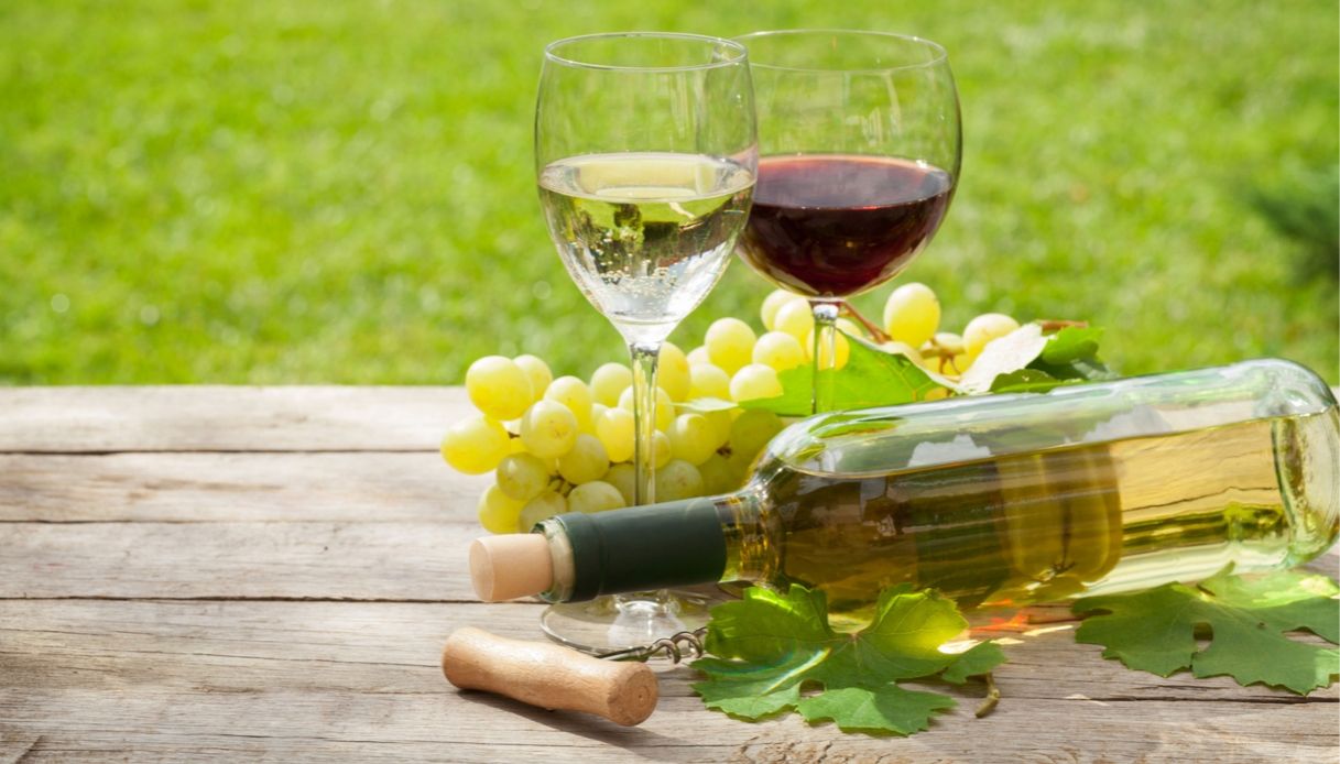 Guida Veronelli 2020: ecco i 5 migliori vini italiani