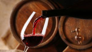 vino