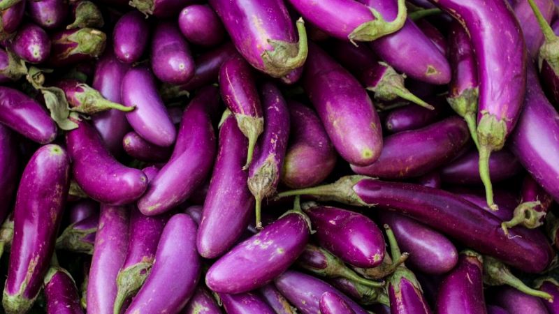 Longobardi, il piccolo borgo calabrese salvato da una melanzana