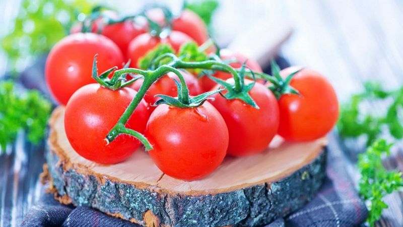 In Sicilia ecco il primo Tomato Village italiano: date e location