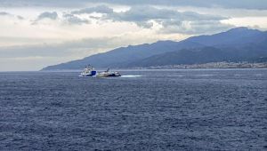 Orche avvistate nello Stretto di Messina per la prima volta