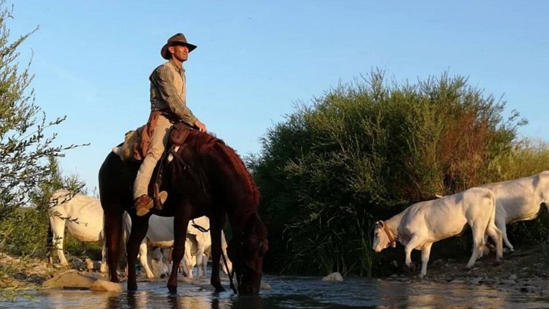 La transumanza è patrimonio culturale Unesco: record per l'Italia