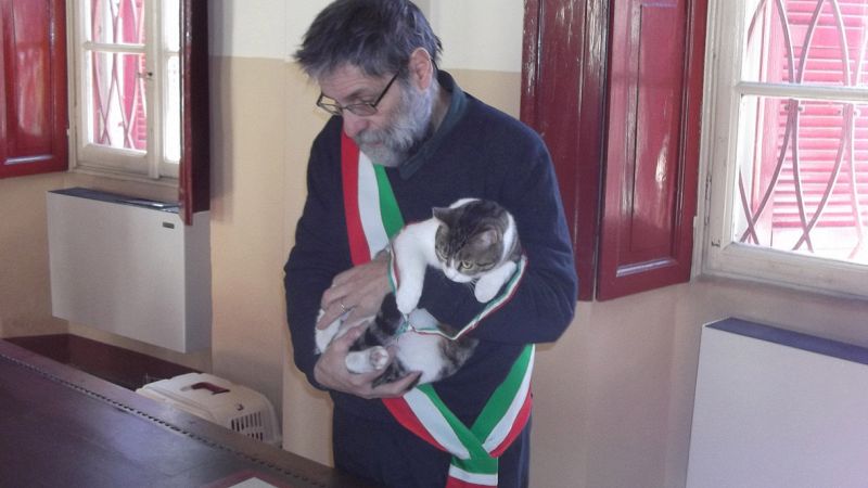 Gravellona Lomellina, il paese dove un gatto celebra i matrimoni