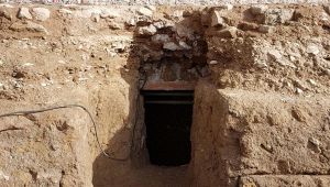 Sarcofago Romolo