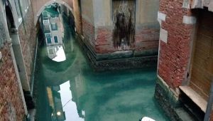 Effetto Coronavirus: a Venezia le acque del canale sono limpide