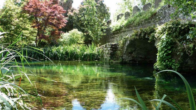 Nel Giardino di Ninfa spunta un farfalla rara