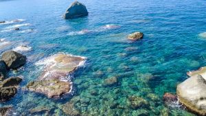 La Posidonia di Ischia svela come sarà il mare del futuro