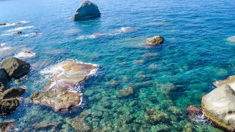 La Posidonia di Ischia svela come sarà il mare del futuro