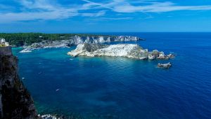 Tremiti, la foresta di corallo nero conquista National Geographic