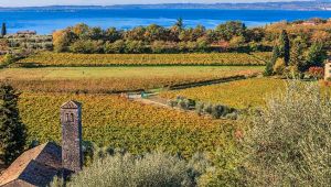 Nasce il Cammino del Bardolino, tra lago e vigneti del Garda