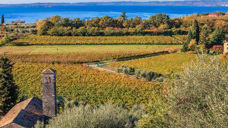 Nasce il Cammino del Bardolino, tra lago e vigneti del Garda