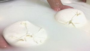 Mozzarella Dop, per LA Times è simbolo d'Europa come lo Champagne