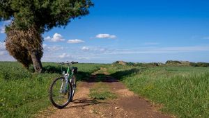 Ciclovia dell'Acquedotto Pugliese: Puglia