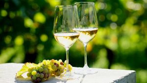 I migliori vini italiani per l'estate 2020