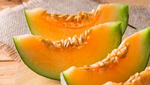 Meloni