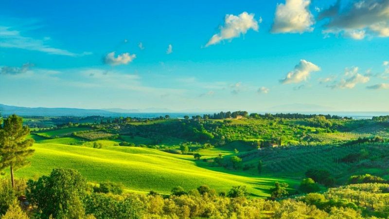 Spighe Verdi 2020: ecco le 46 'Bandiere Blu' della terra