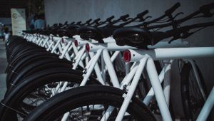 Bike-In, Mantova ha il suo drive-in per le bici: il programma