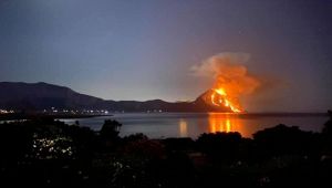 Monte Cofano, un vasto incendio ha devastato la riserva