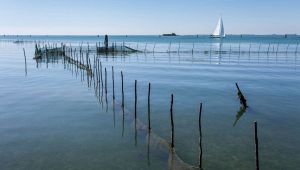 Metamauco, Atlantide di Venezia: il mistero dell'isola scomparsa