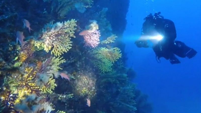 Effetto lockdown: il mare italiano è più pulito e trasparente