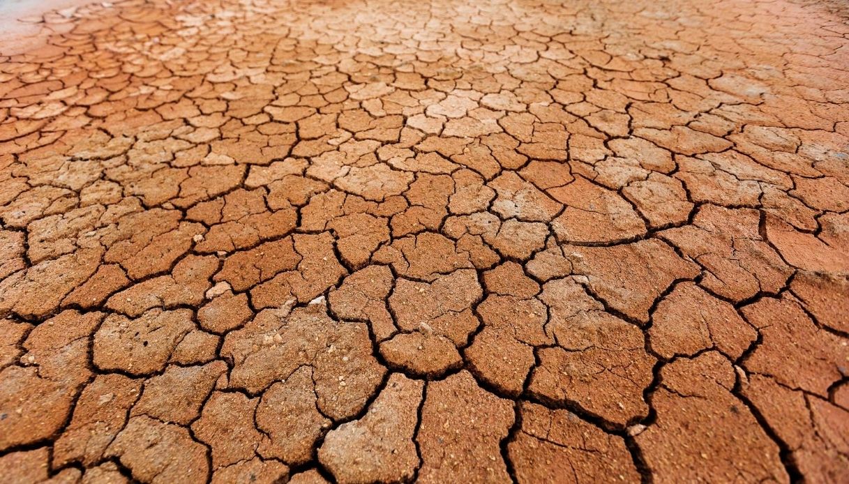 Allarme desertificazione in Italia: le aree più colpite