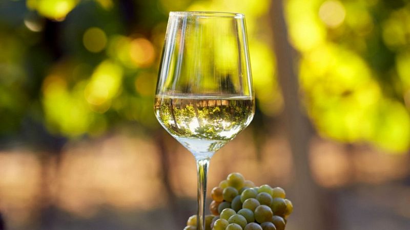 Vino bianco
