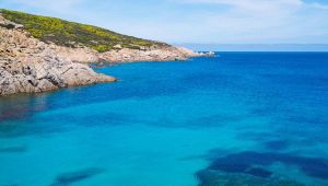 All'Isola dell'Asinara è stata avvistata una balenottera