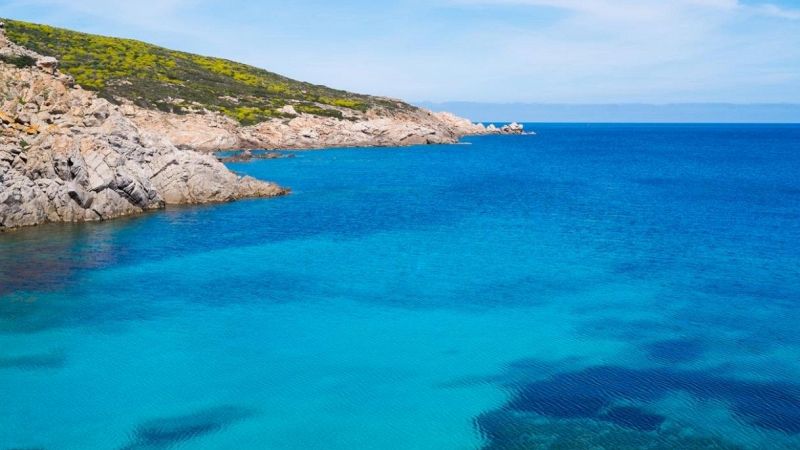 All'Isola dell'Asinara è stata avvistata una balenottera