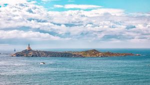 Sardegna, risolto il mistero dello squalo senza pelle né denti