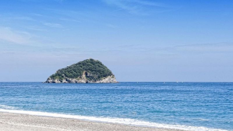 Gallinara