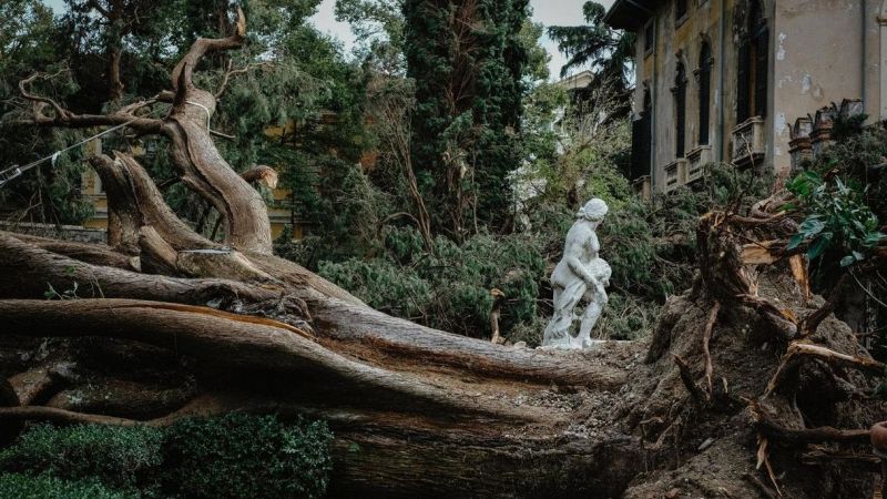 Maltempo Verona, danni Giardino Giusti: crolla Cipresso di Goethe