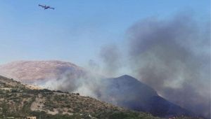 Emergenza incendi in Sicilia: in fiamme la riserva dello Zingaro