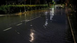 Maltempo Veneto, vigneti rasi al suolo in Valpolicella: l'allarme