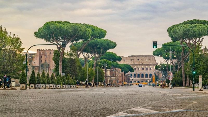 A Roma scatta l'allarme "cocciniglia tartaruga"