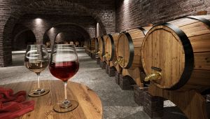 La Cantina dell'Anno 2021 si trova in Veneto