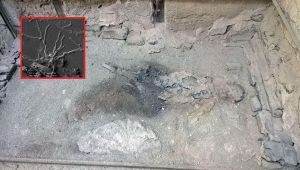 Ercolano, nuova straordinaria scoperta sull'eruzione del 79