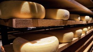 Presidi Aperti: le aziende Slow Food aprono le porte