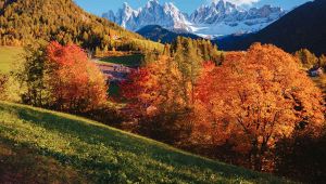 Foliage in Italia: parchi e boschi da visitare in autunno