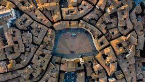 Piazza del Campo: Siena