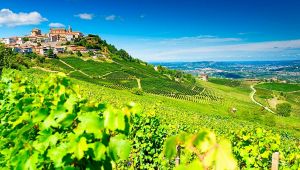 Barolo è la "Città Italiana del Vino 2021"