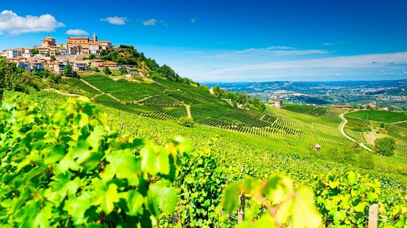 Barolo è la "Città Italiana del Vino 2021"